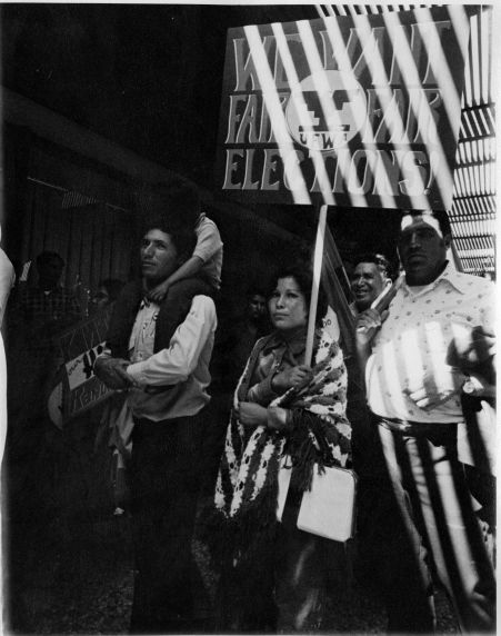(3183) Elections, Demonstrations, 1973